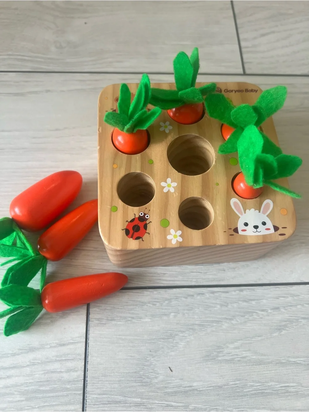Montessori Carrot Harvest